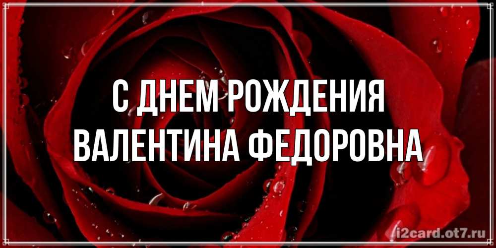 Открытка на каждый день с именем, Валентина-Федоровна С днем рождения крупная бордовая роза Прикольная открытка с пожеланием онлайн скачать бесплатно 