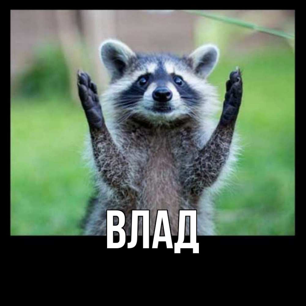 Картинка  с именем , Влад