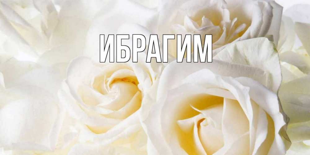 Открытка на каждый день с именем, Ибрагим Главная открыточки на день рождения любимым Прикольная открытка с пожеланием онлайн скачать бесплатно 