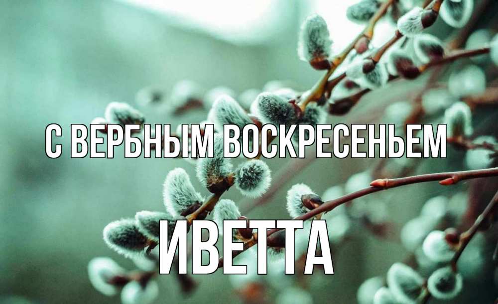 Открытка на каждый день с именем, Иветта С вербным воскресеньем верба Прикольная открытка с пожеланием онлайн скачать бесплатно 
