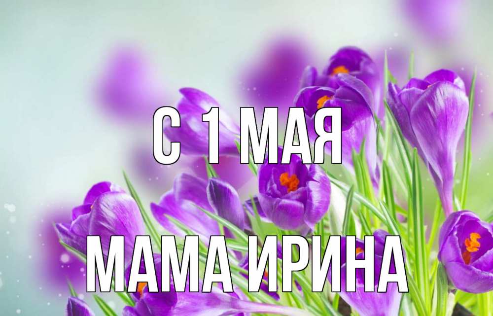 Открытка на каждый день с именем, Мама-Ирина С 1 мая 1 мая Прикольная открытка с пожеланием онлайн скачать бесплатно 
