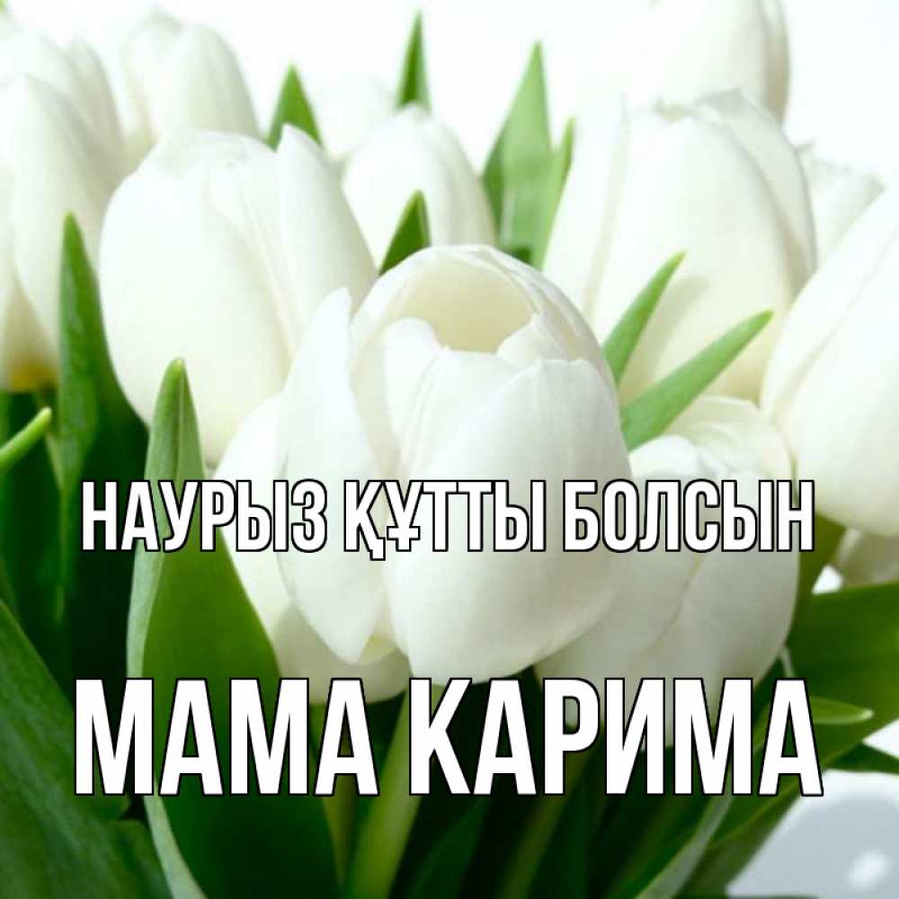 Открытка на каждый день с именем, Мама-Карима Наурыз құтты болсын цветы Прикольная открытка с пожеланием онлайн скачать бесплатно 