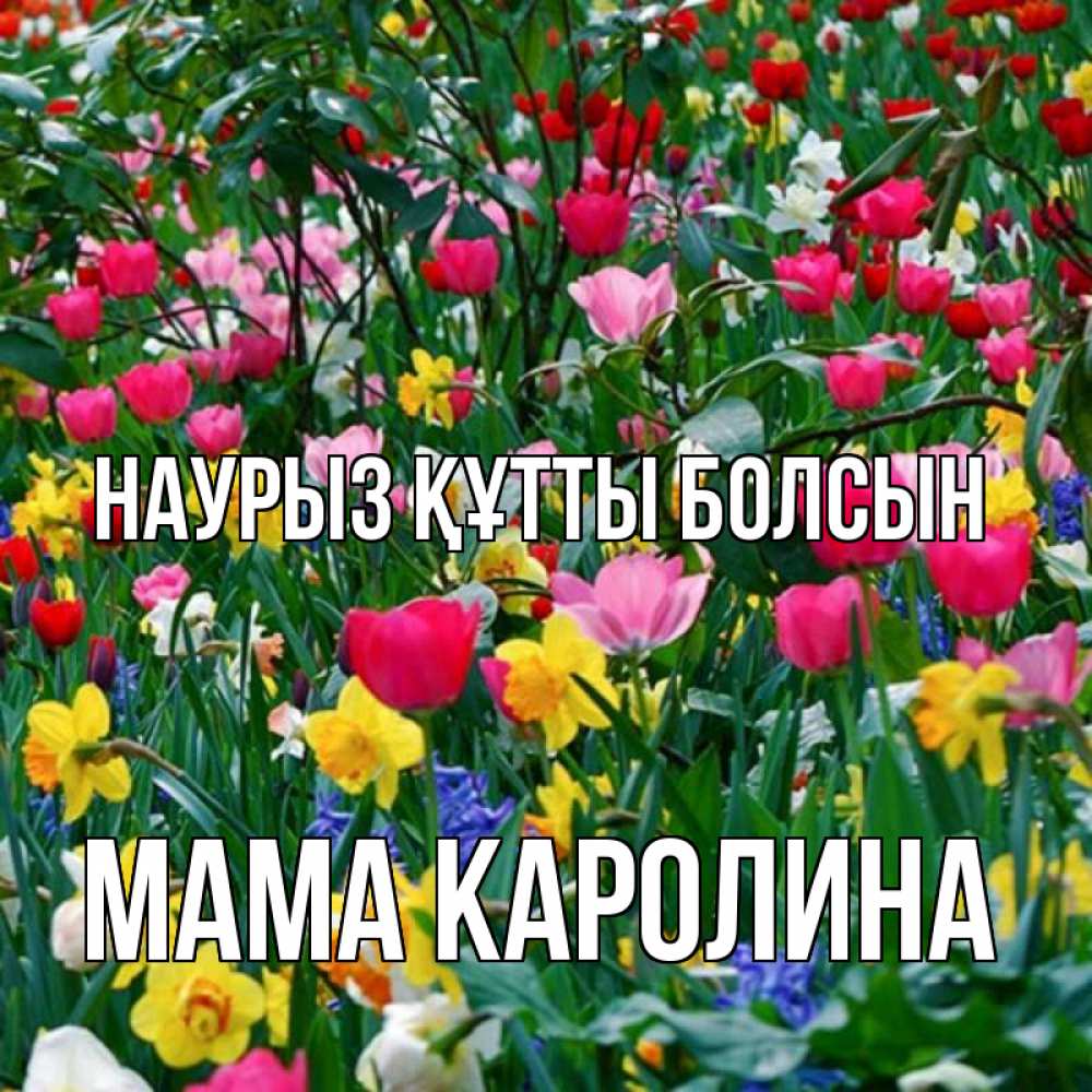 Открытка на каждый день с именем, Мама-Каролина Наурыз құтты болсын с наурызом поздравления для женщины Прикольная открытка с пожеланием онлайн скачать бесплатно 