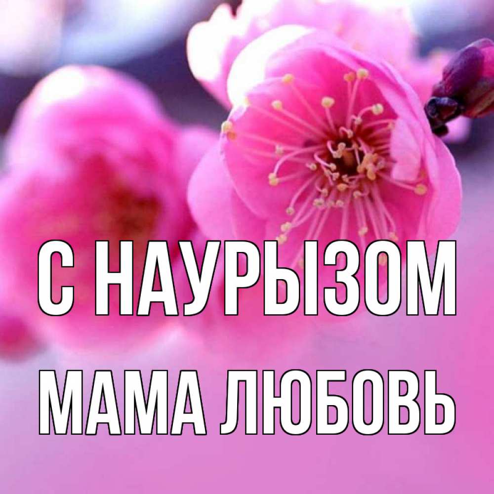 Открытка на каждый день с именем, Мама-Любовь С наурызом международный женский день Прикольная открытка с пожеланием онлайн скачать бесплатно 