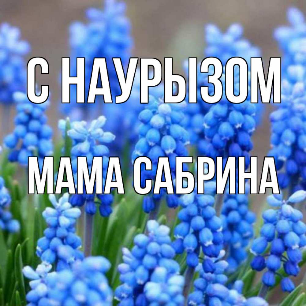 Открытка на каждый день с именем, Мама-Сабрина С наурызом Поздравительная открытка для женщин с цветами на праздничную дату Прикольная открытка с пожеланием онлайн скачать бесплатно 