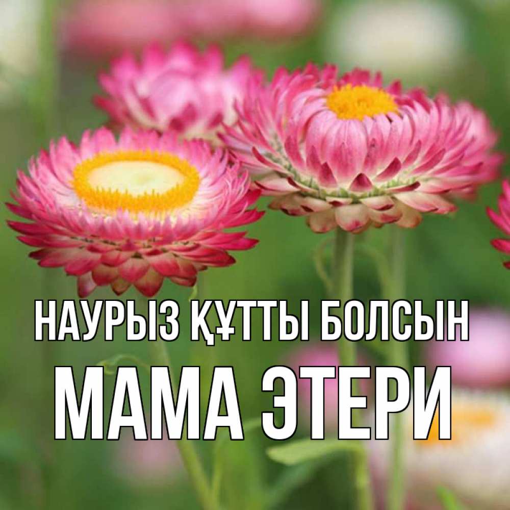 Открытка на каждый день с именем, Мама-Этери Наурыз құтты болсын подарок на международный женский день Прикольная открытка с пожеланием онлайн скачать бесплатно 
