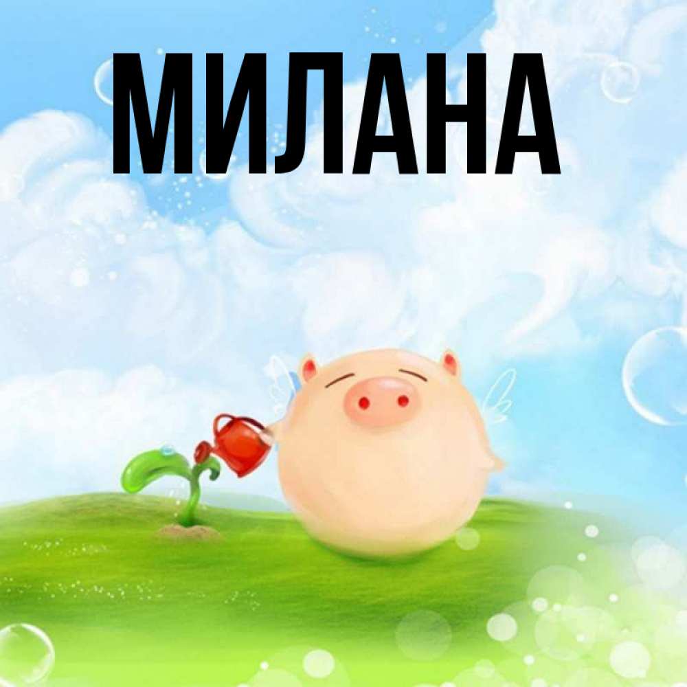 Открытка на каждый день с именем, Милана Главная поливает цветок порося Прикольная открытка с пожеланием онлайн скачать бесплатно 