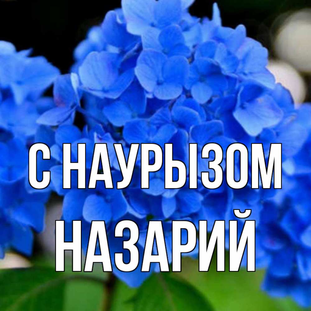 Открытка на каждый день с именем, Назарий С наурызом синие цветы Прикольная открытка с пожеланием онлайн скачать бесплатно 