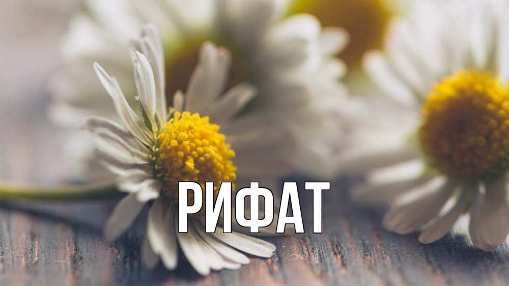 Открытка на каждый день с именем, Рифат Главная с днем семьи Прикольная открытка с пожеланием онлайн скачать бесплатно 