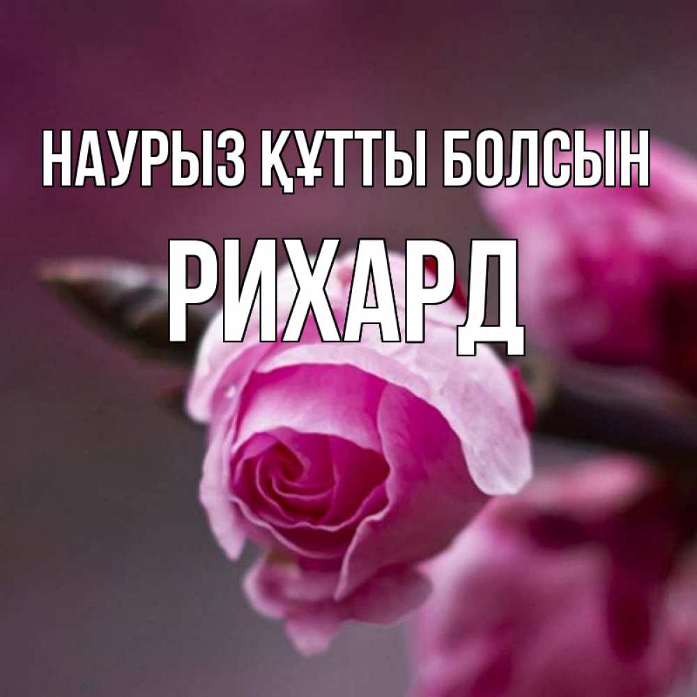 Открытка на каждый день с именем, Рихард Наурыз құтты болсын весна Прикольная открытка с пожеланием онлайн скачать бесплатно 