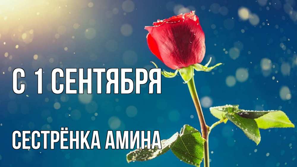 Открытка на каждый день с именем, Сестрёнка-Амина С 1 сентября с днем знаний Прикольная открытка с пожеланием онлайн скачать бесплатно 