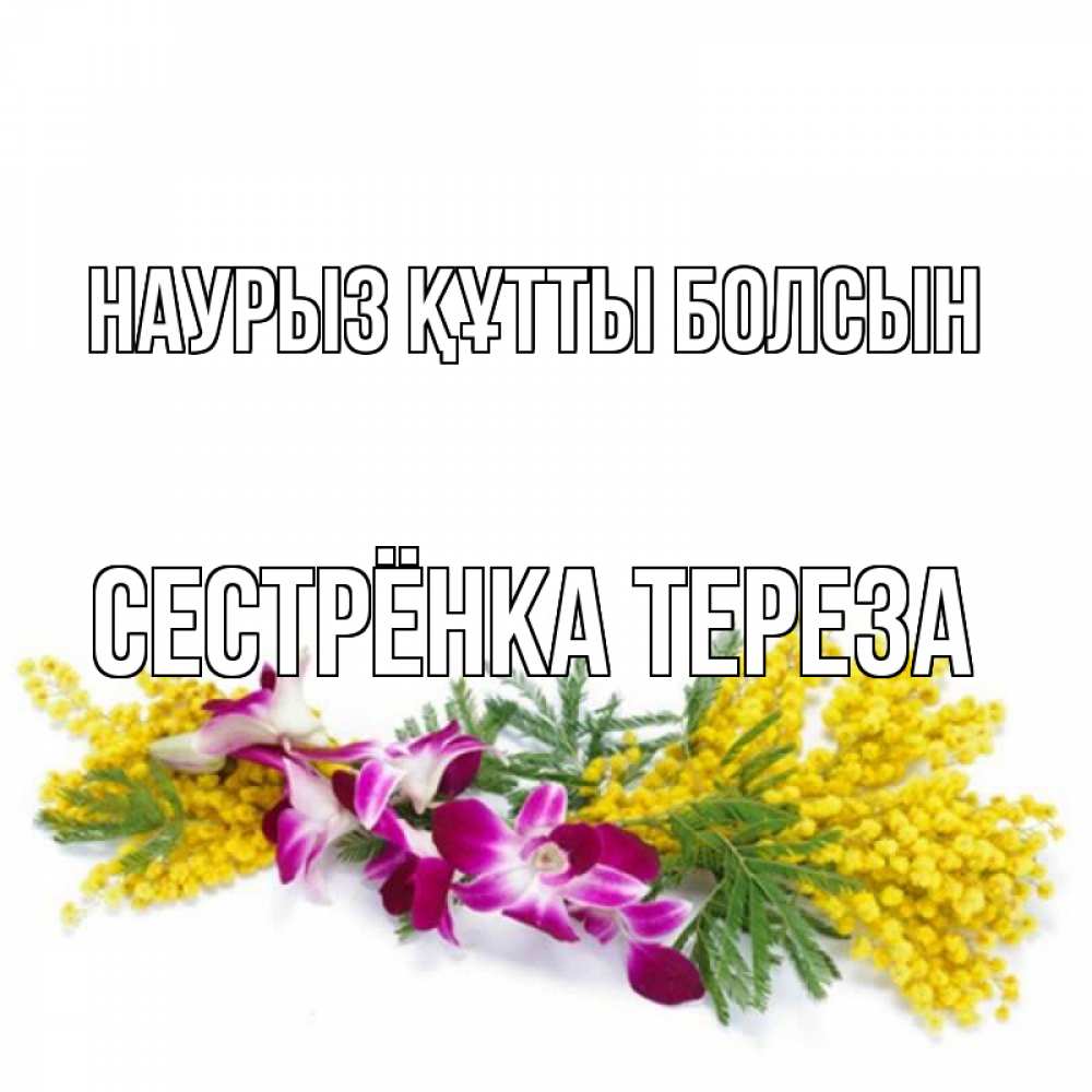 Открытка на каждый день с именем, Сестрёнка-Тереза Наурыз құтты болсын открытка  наурыз с цветами  1 Прикольная открытка с пожеланием онлайн скачать бесплатно 