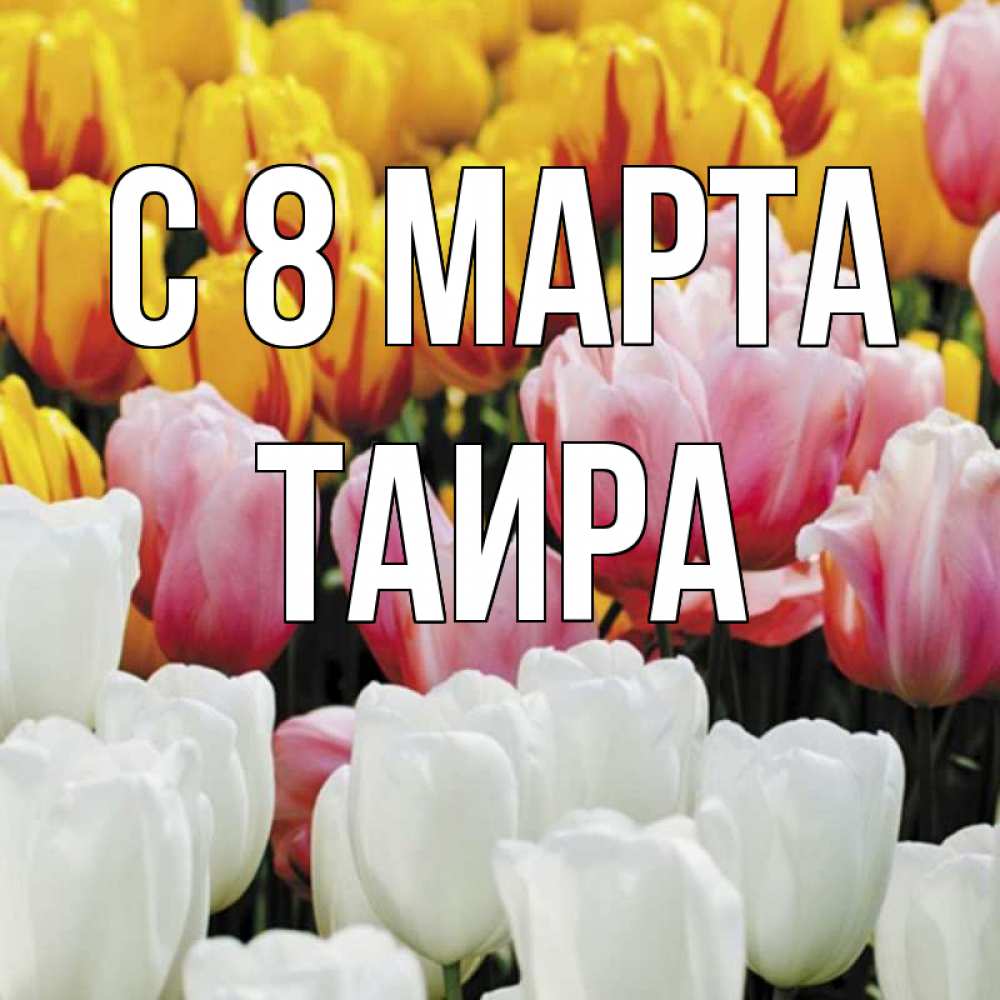 Открытка на каждый день с именем, Таира С 8 МАРТА разноцветные цветы Прикольная открытка с пожеланием онлайн скачать бесплатно 