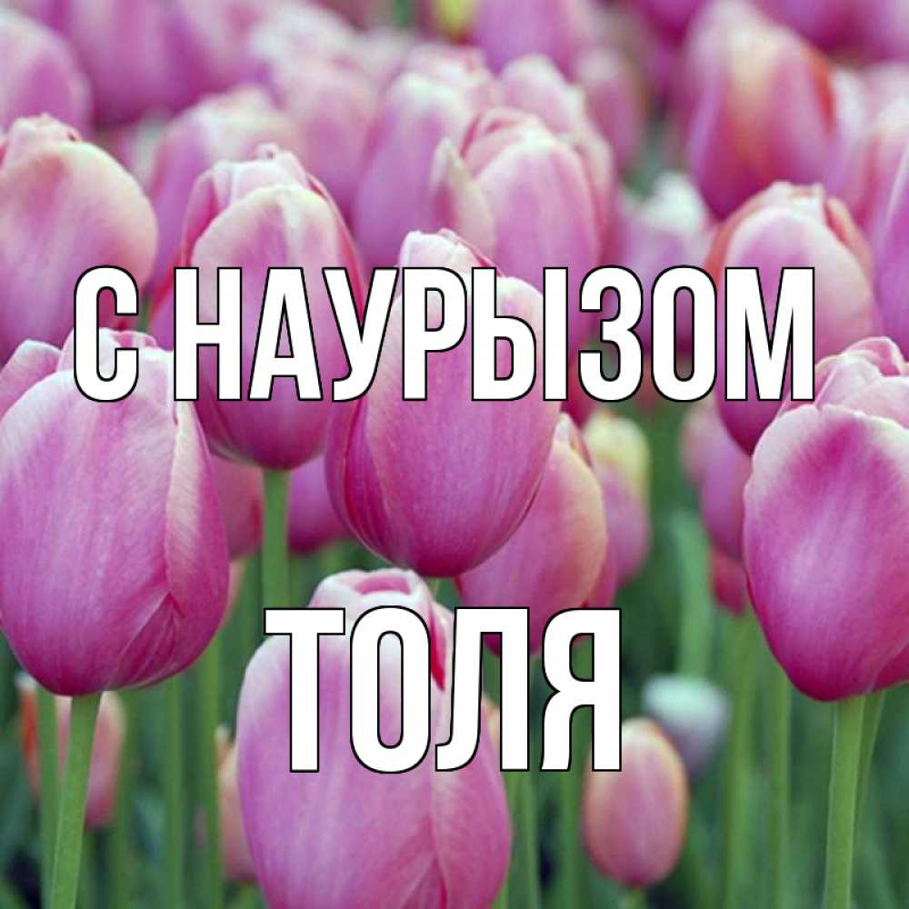 Открытка на каждый день с именем, Толя С наурызом праздник весны наурыз 69 Прикольная открытка с пожеланием онлайн скачать бесплатно 