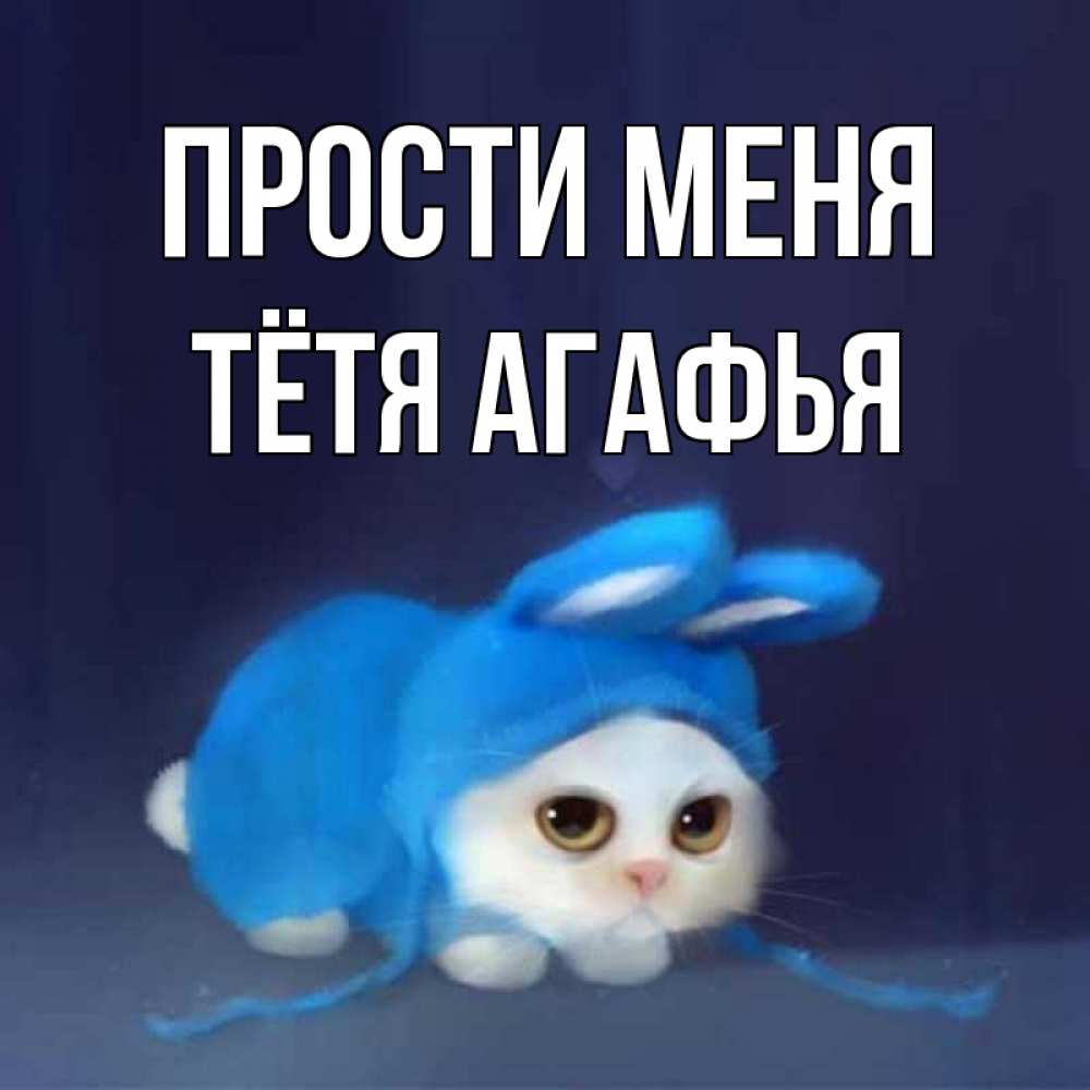 Открытка на каждый день с именем, Тётя-Агафья Прости меня невинный котозай просит прощения Прикольная открытка с пожеланием онлайн скачать бесплатно 