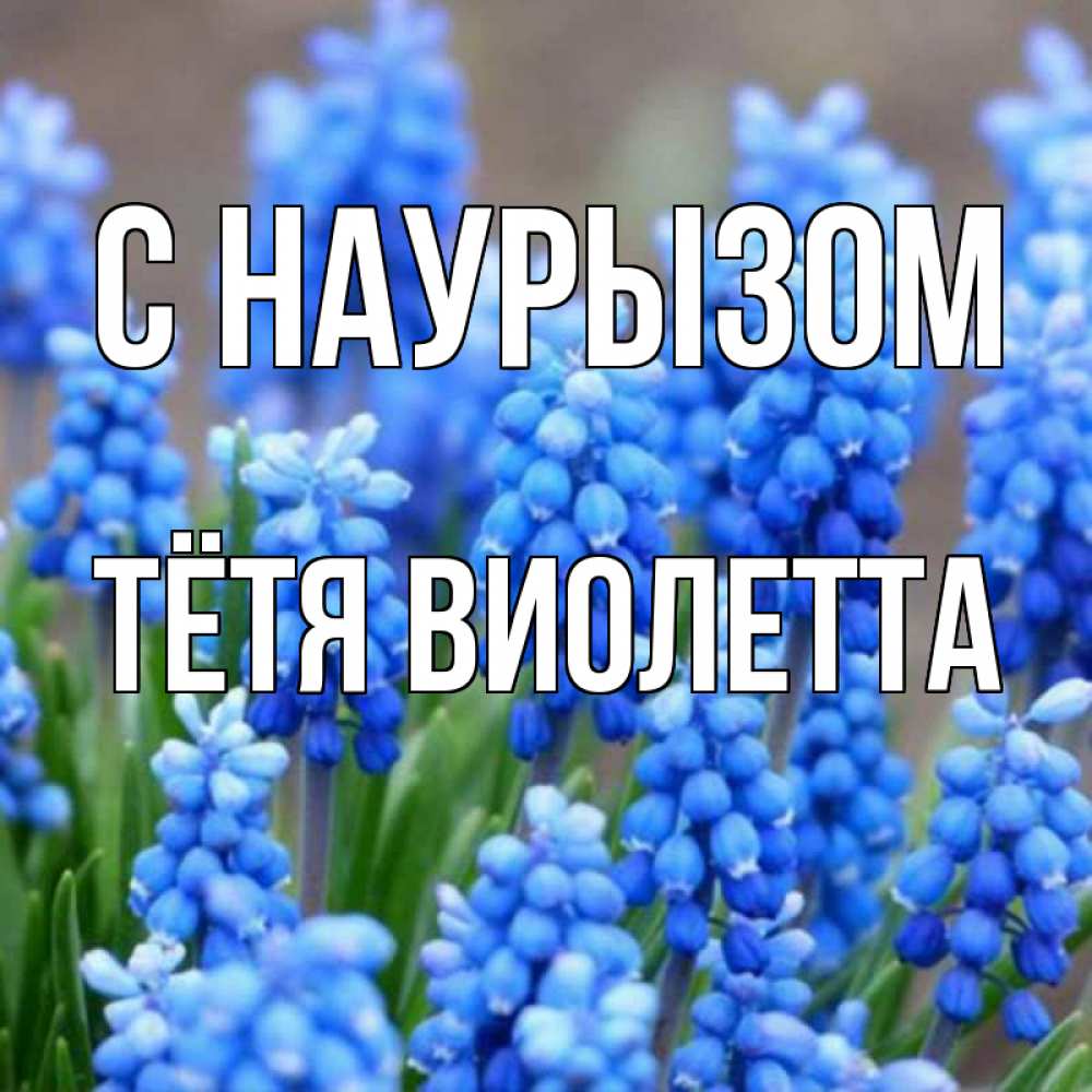 Открытка на каждый день с именем, Тётя-Виолетта С наурызом Поздравительная открытка для женщин с цветами на праздничную дату Прикольная открытка с пожеланием онлайн скачать бесплатно 