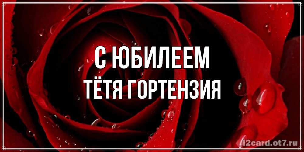 Открытка на каждый день с именем, Тётя-Гортензия С юбилеем крупная бордовая роза Прикольная открытка с пожеланием онлайн скачать бесплатно 