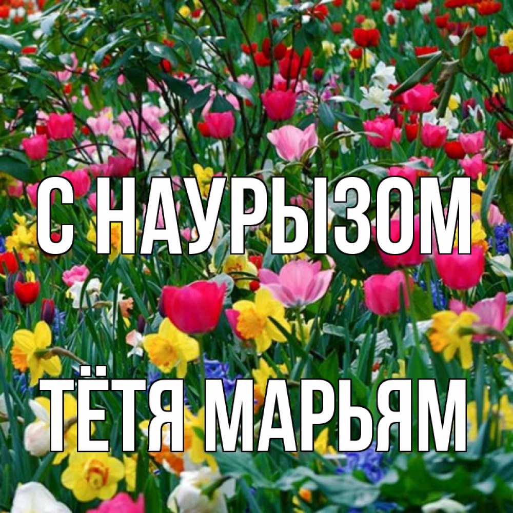 Открытка на каждый день с именем, Тётя-Марьям С наурызом с наурызом праздником весны поздравления для женщины Прикольная открытка с пожеланием онлайн скачать бесплатно 