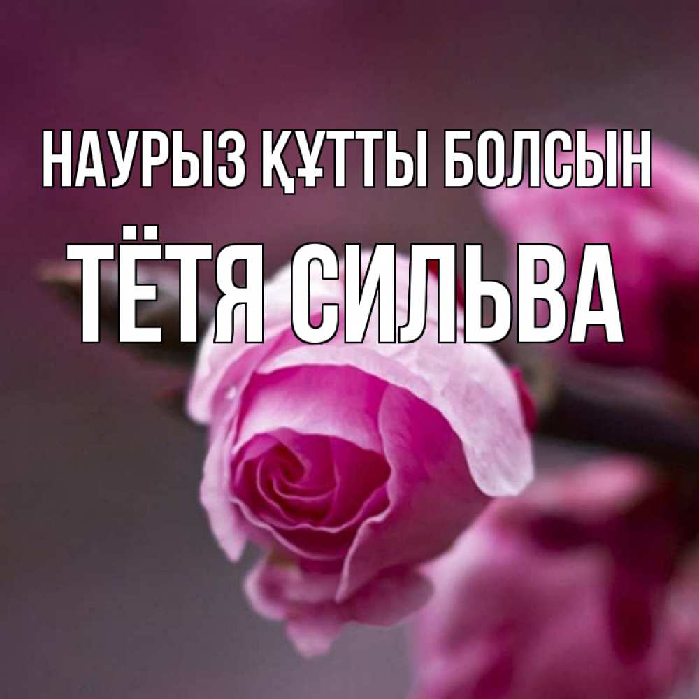 Открытка на каждый день с именем, Тётя-Сильва Наурыз құтты болсын весна Прикольная открытка с пожеланием онлайн скачать бесплатно 