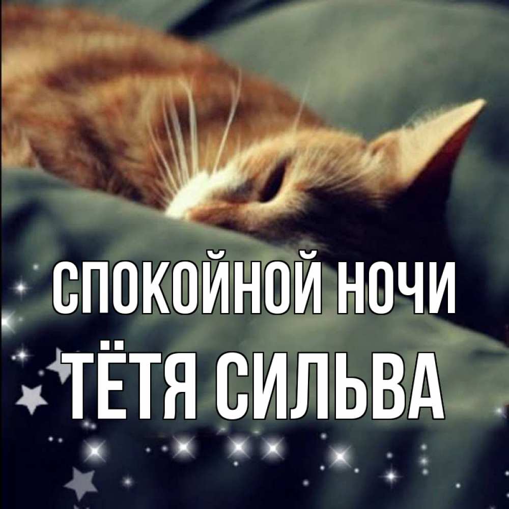 Открытка на каждый день с именем, Тётя-Сильва Спокойной ночи кроватка Прикольная открытка с пожеланием онлайн скачать бесплатно 