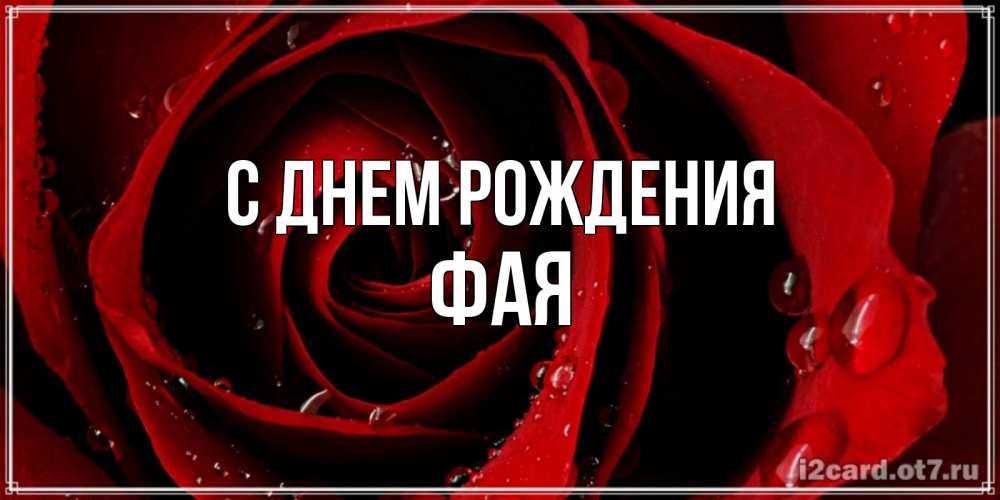 Открытка на каждый день с именем, Фая С днем рождения крупная бордовая роза Прикольная открытка с пожеланием онлайн скачать бесплатно 