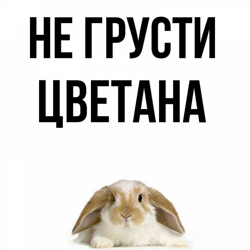 Открытка на каждый день с именем, Цветана Не грусти коричнево белый заяц с большими ушками Прикольная открытка с пожеланием онлайн скачать бесплатно 