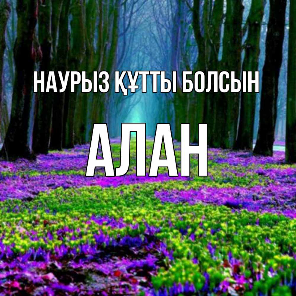 Открытка на каждый день с именем, Алан Наурыз құтты болсын фиолетовые цветы в лесу 1 Прикольная открытка с пожеланием онлайн скачать бесплатно 