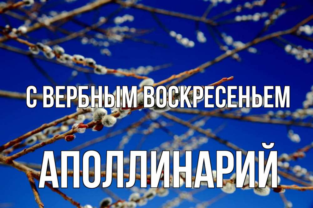 Открытка на каждый день с именем, Аполлинарий С вербным воскресеньем верба Прикольная открытка с пожеланием онлайн скачать бесплатно 