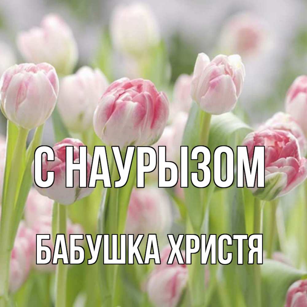 Открытка на каждый день с именем, Бабушка-Христя С наурызом цветы Прикольная открытка с пожеланием онлайн скачать бесплатно 