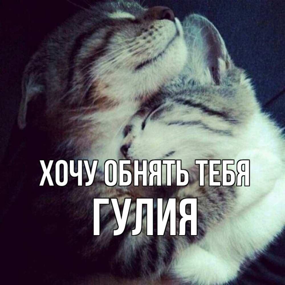 Открытка на каждый день с именем, Гулия Хочу обнять тебя полосатики Прикольная открытка с пожеланием онлайн скачать бесплатно 