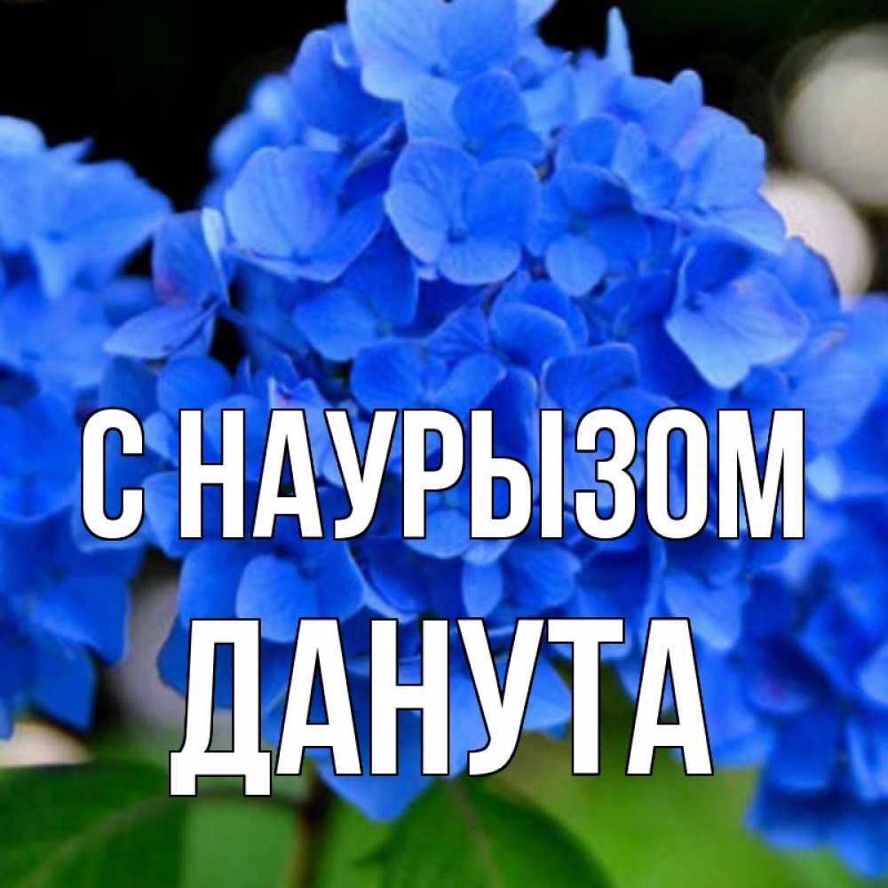 Открытка на каждый день с именем, Данута С наурызом синие цветы Прикольная открытка с пожеланием онлайн скачать бесплатно 