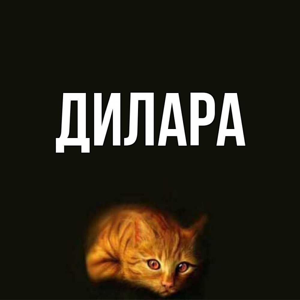 Открытка на каждый день с именем, Дилара Главная лежащий кот в темноте Прикольная открытка с пожеланием онлайн скачать бесплатно 