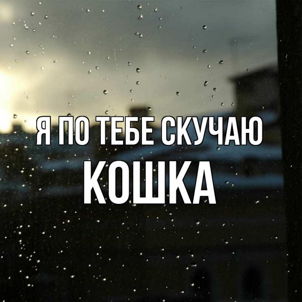 Открытка на каждый день с именем, Кошка Я по тебе скучаю капли на стекле Прикольная открытка с пожеланием онлайн скачать бесплатно 