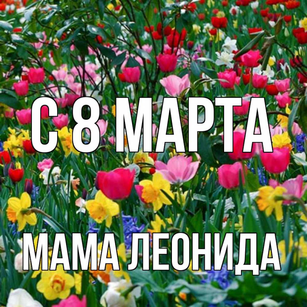 Открытка на каждый день с именем, Мама-Леонида С 8 МАРТА с международным женским днем поздравления для женщины Прикольная открытка с пожеланием онлайн скачать бесплатно 