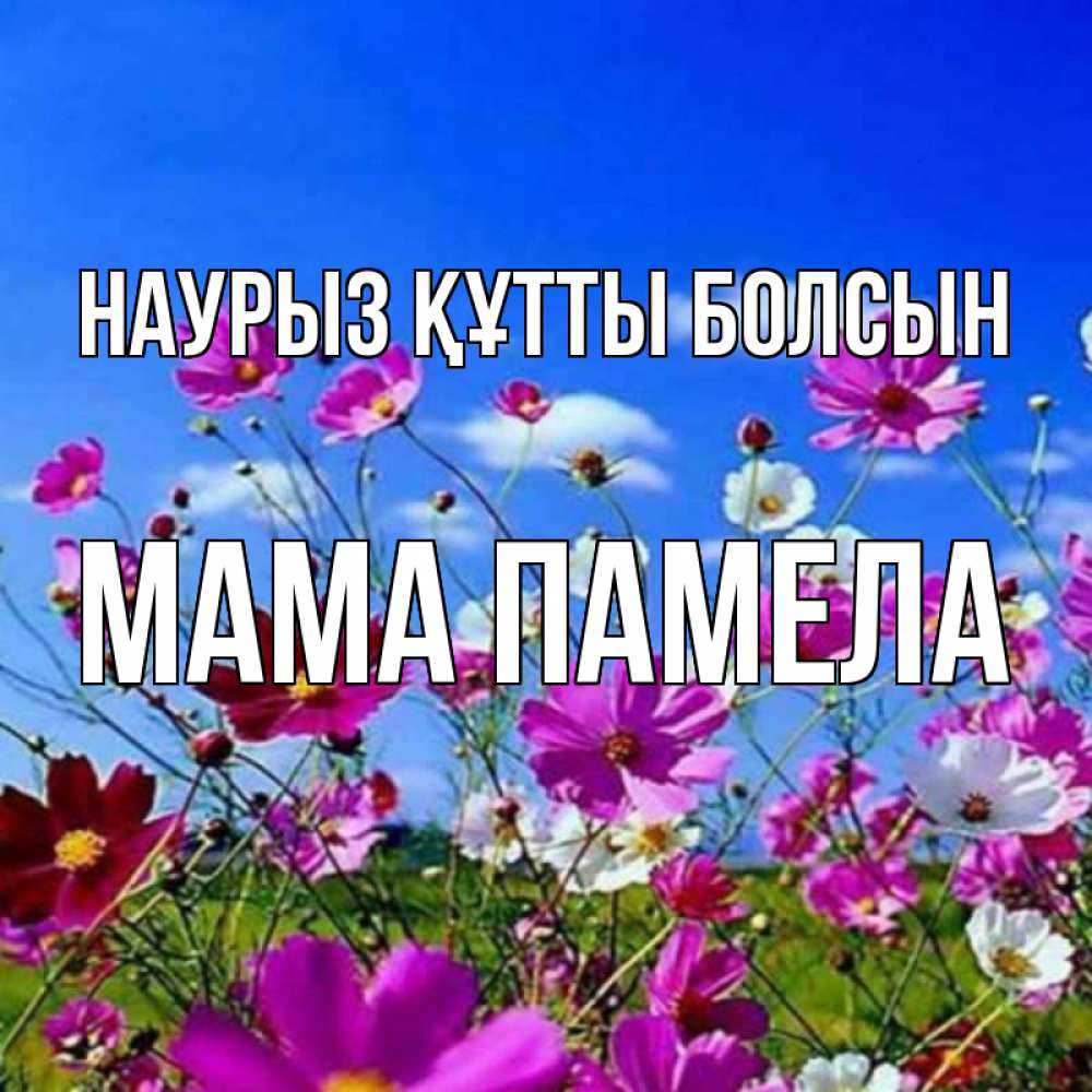 Открытка на каждый день с именем, Мама-Памела Наурыз құтты болсын цветы Прикольная открытка с пожеланием онлайн скачать бесплатно 