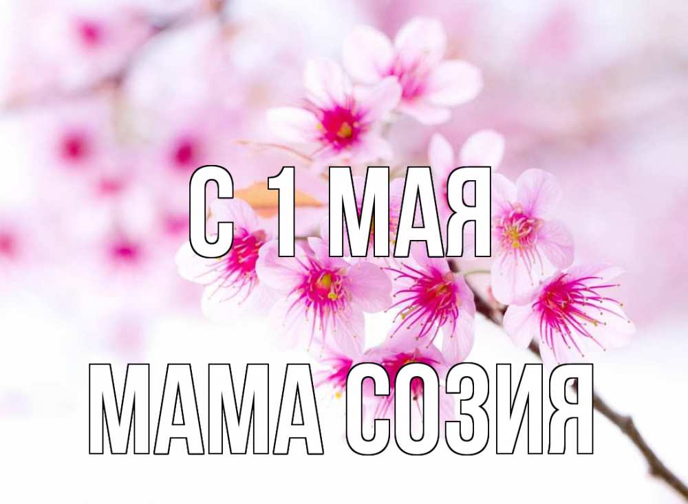 Открытка на каждый день с именем, Мама-Созия С 1 мая С 1 мая 2 Прикольная открытка с пожеланием онлайн скачать бесплатно 