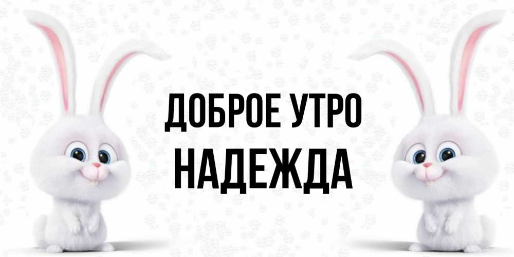 Открытка на каждый день с именем, Надежда Доброе утро кролики с длинными ушками Прикольная открытка с пожеланием онлайн скачать бесплатно 