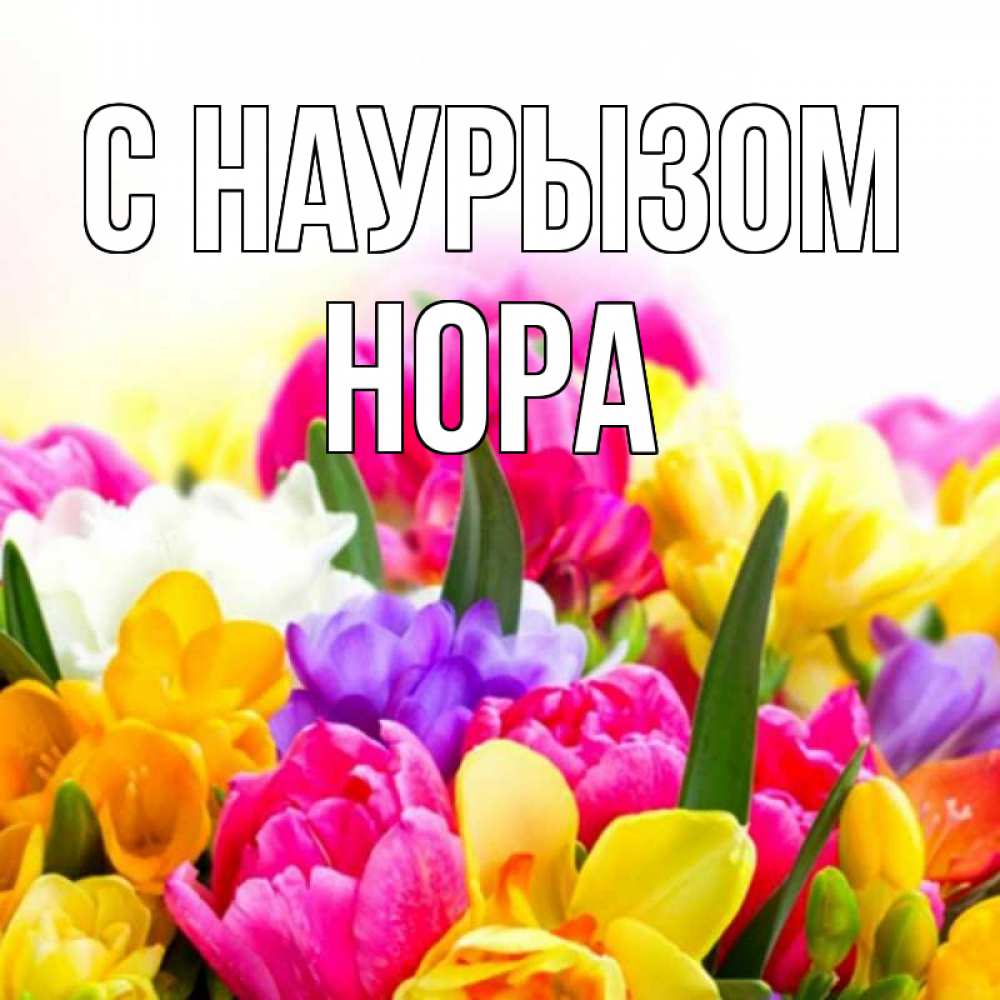 Открытка на каждый день с именем, Нора С наурызом тюльпаны Прикольная открытка с пожеланием онлайн скачать бесплатно 