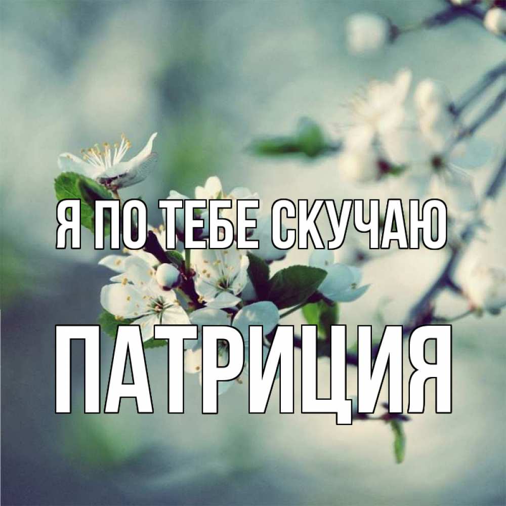 Открытка на каждый день с именем, Патриция Я по тебе скучаю весна Прикольная открытка с пожеланием онлайн скачать бесплатно 