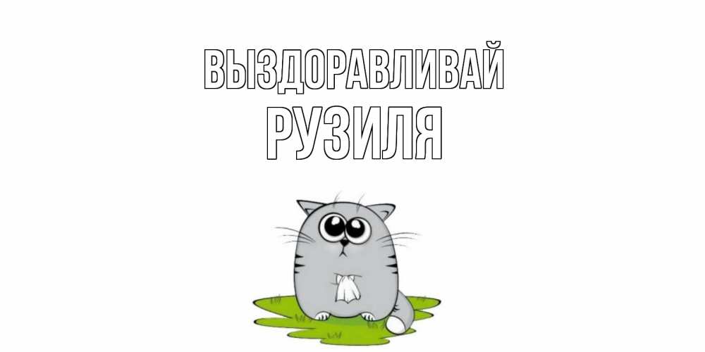 Открытка на каждый день с именем, Рузиля Выздоравливай кот и открытки про выздоровление Прикольная открытка с пожеланием онлайн скачать бесплатно 