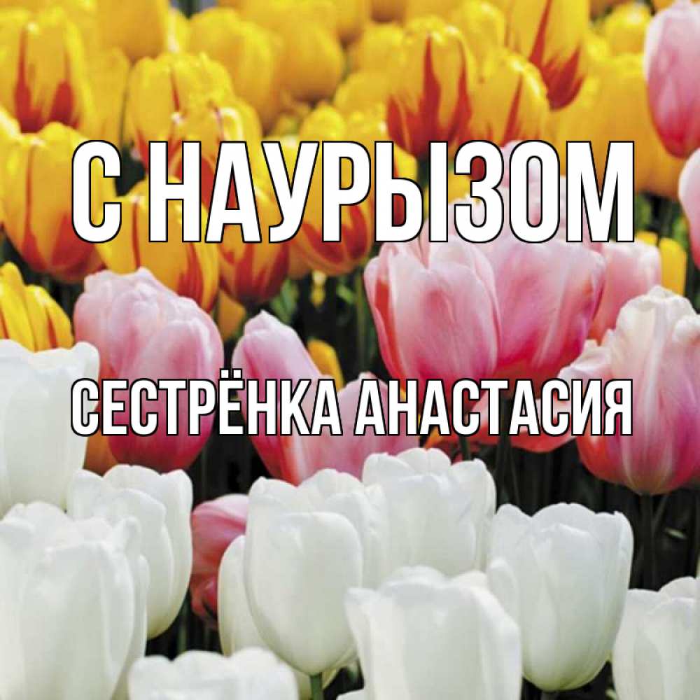 Открытка на каждый день с именем, Сестрёнка-Анастасия С наурызом разноцветные цветы Прикольная открытка с пожеланием онлайн скачать бесплатно 