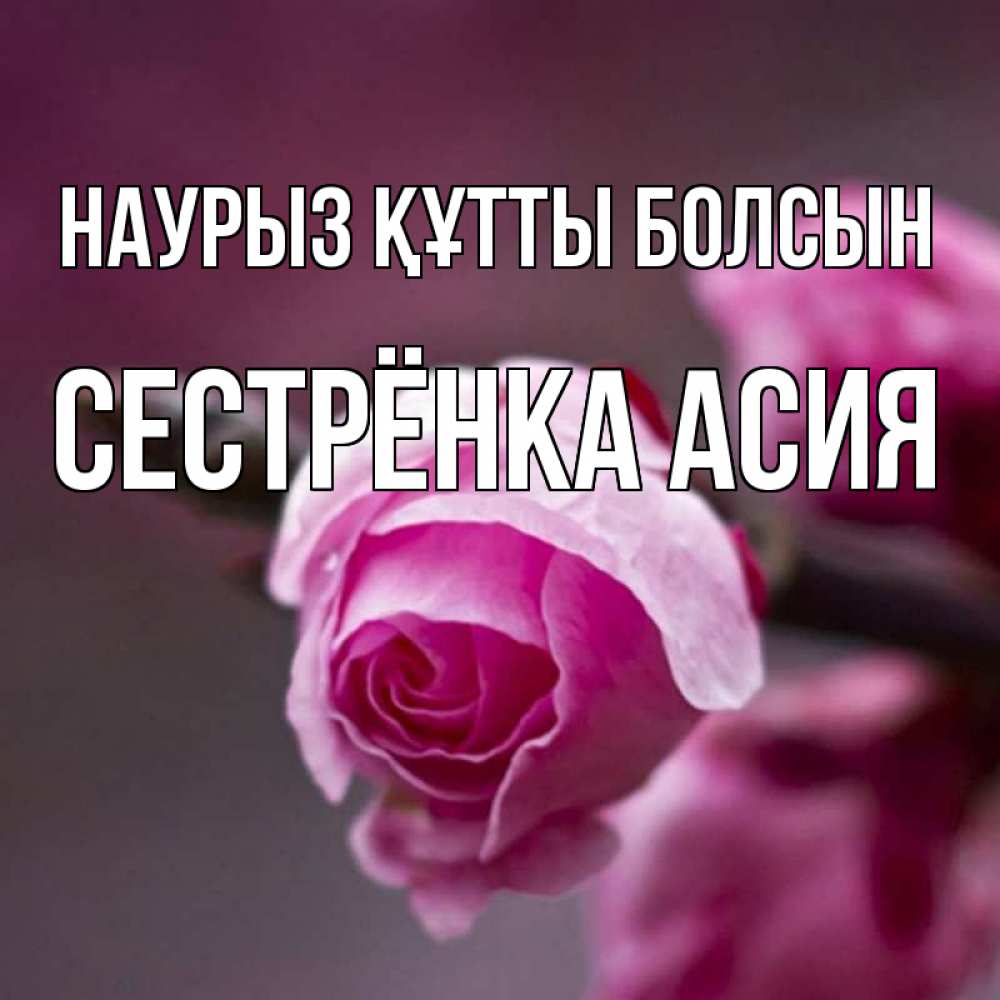 Открытка на каждый день с именем, Сестрёнка-Асия Наурыз құтты болсын весна Прикольная открытка с пожеланием онлайн скачать бесплатно 