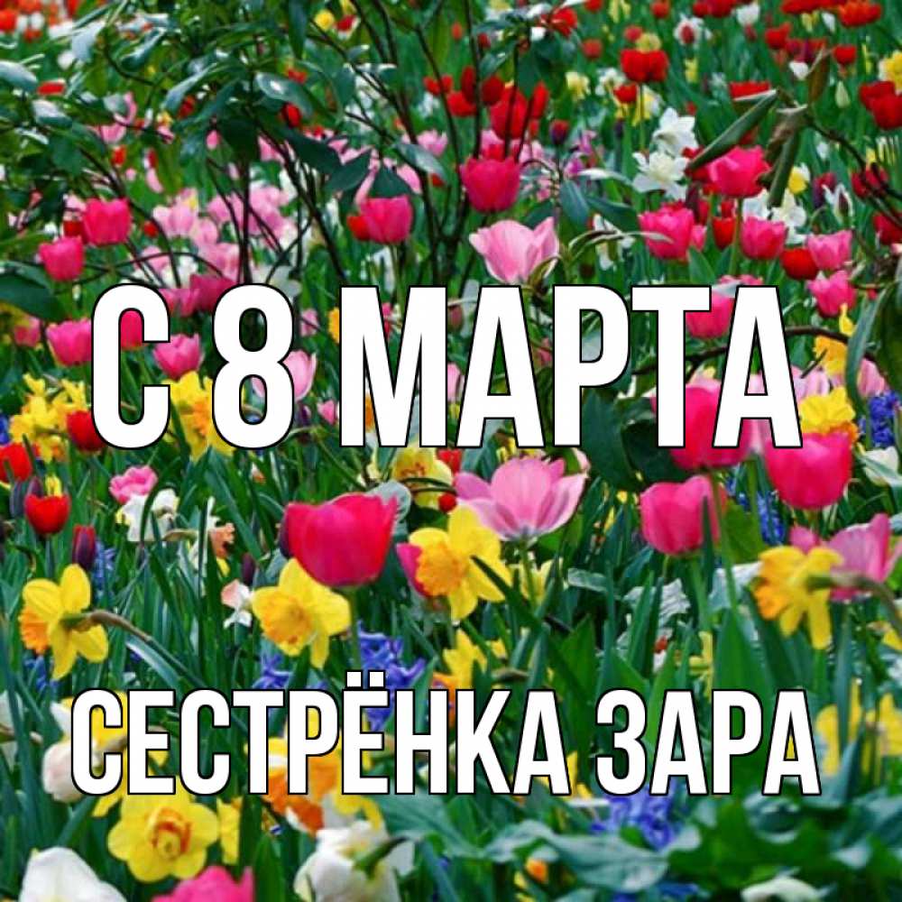 Открытка на каждый день с именем, Сестрёнка-Зара С 8 марта с международным женским днем поздравления для женщины Прикольная открытка с пожеланием онлайн скачать бесплатно 
