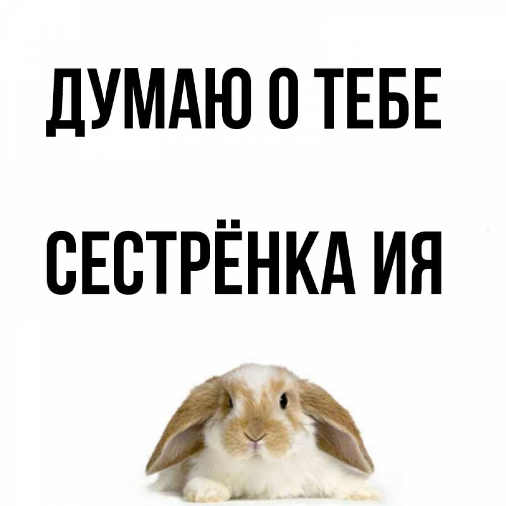 Открытка на каждый день с именем, Сестрёнка-Ия Думаю о тебе подписать своими руками онлайн Прикольная открытка с пожеланием онлайн скачать бесплатно 