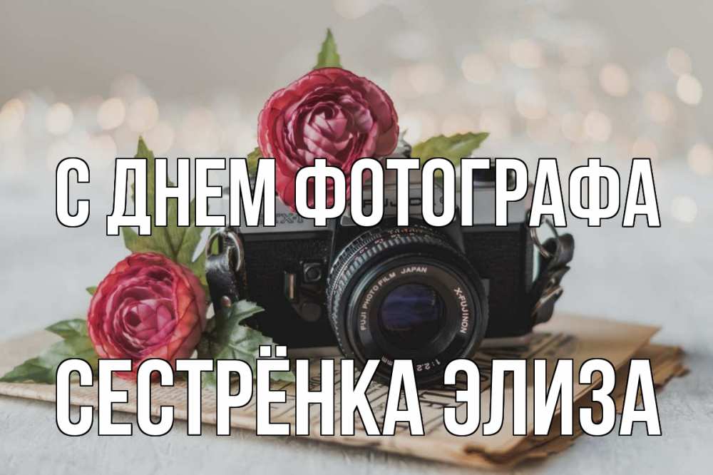 Открытка на каждый день с именем, Сестрёнка-Элиза С днем фотографа с днем фотографа Прикольная открытка с пожеланием онлайн скачать бесплатно 