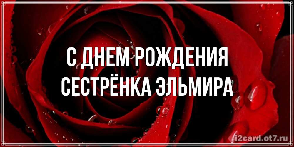 Открытка на каждый день с именем, Сестрёнка-Эльмира С днем рождения крупная бордовая роза Прикольная открытка с пожеланием онлайн скачать бесплатно 