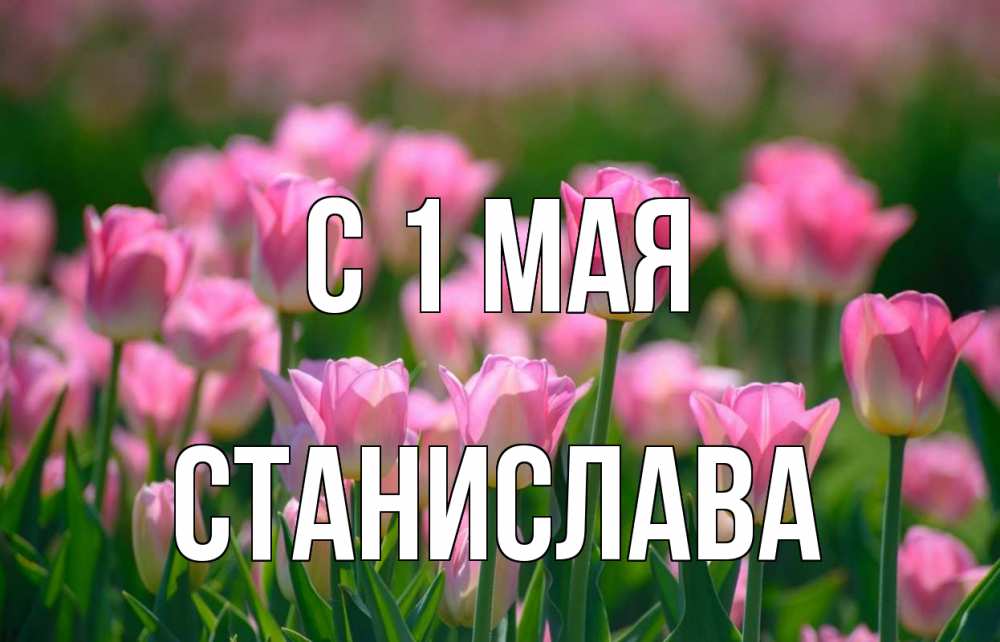 Открытка на каждый день с именем, Станислава С 1 мая С 1 мая Прикольная открытка с пожеланием онлайн скачать бесплатно 