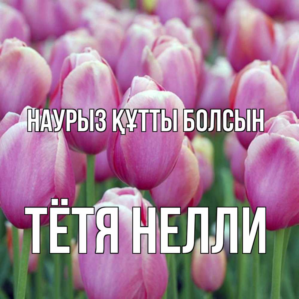 Открытка на каждый день с именем, Тётя-Нелли Наурыз құтты болсын на наурыз  день 3 Прикольная открытка с пожеланием онлайн скачать бесплатно 