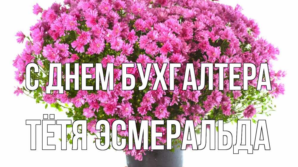 Открытка на каждый день с именем, Тётя-Эсмеральда С днем бухгалтера с днем бухгалтера Прикольная открытка с пожеланием онлайн скачать бесплатно 