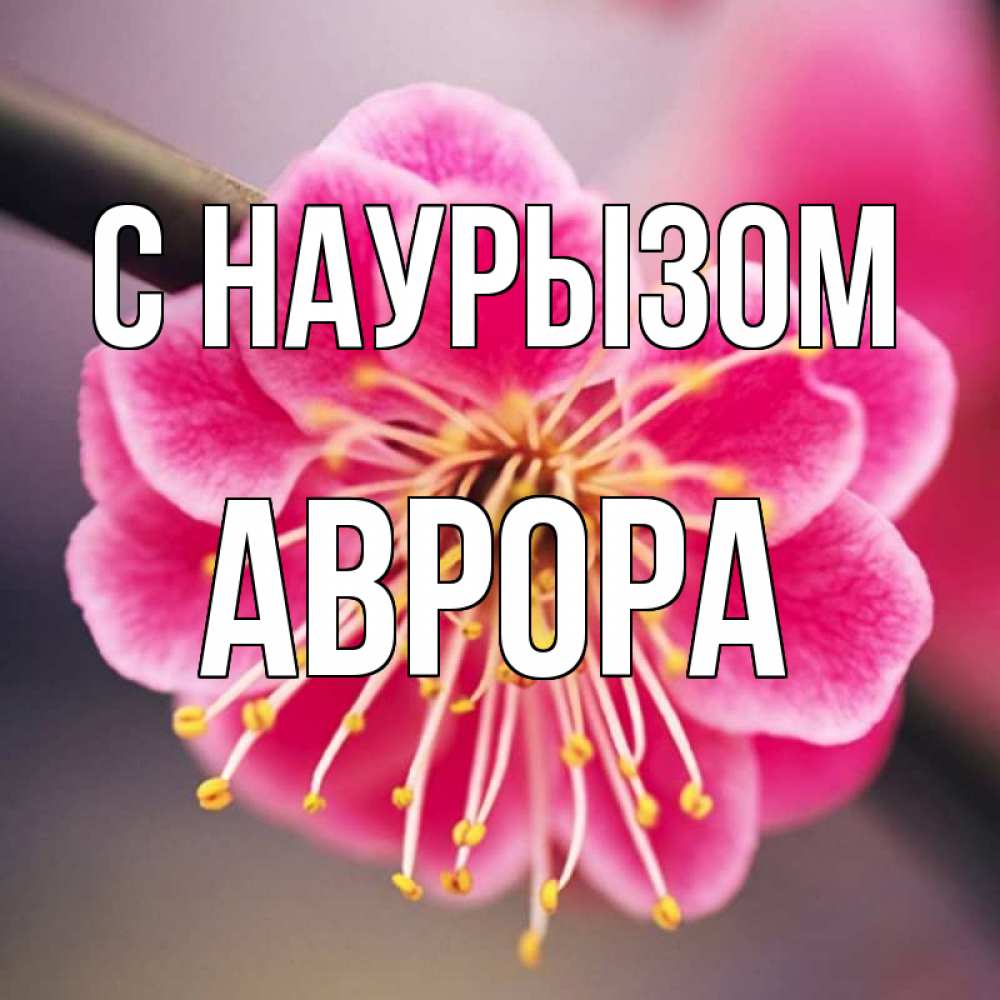 Открытка на каждый день с именем, Аврора С наурызом цветы Прикольная открытка с пожеланием онлайн скачать бесплатно 
